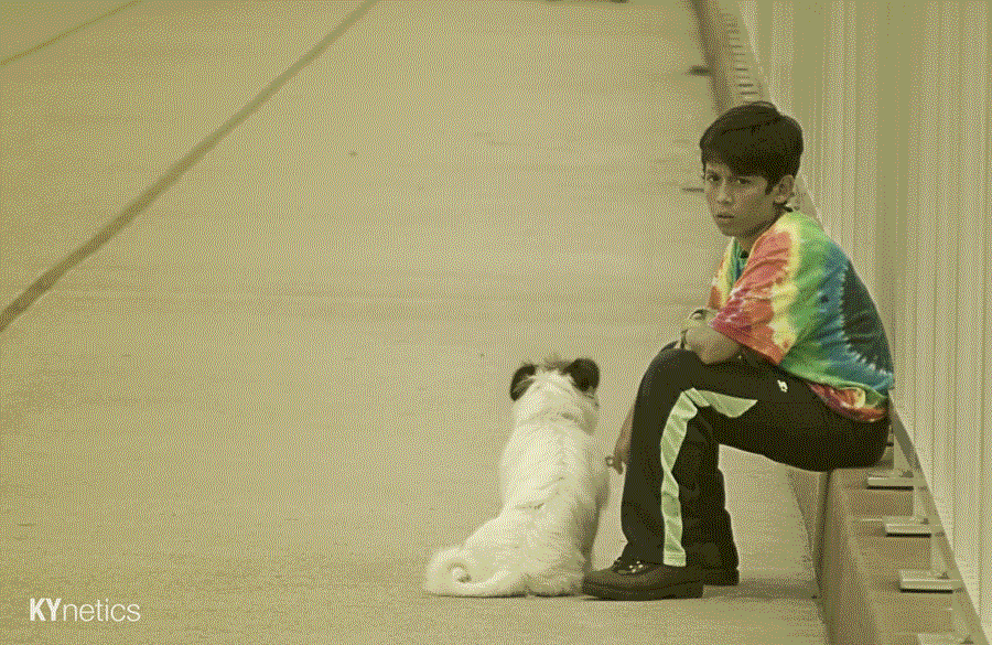 Leashed by KYnetics Leashed by KYnetics