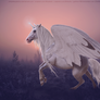 Winged Horse/Unipeg RETOUCH