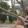 little tree climber