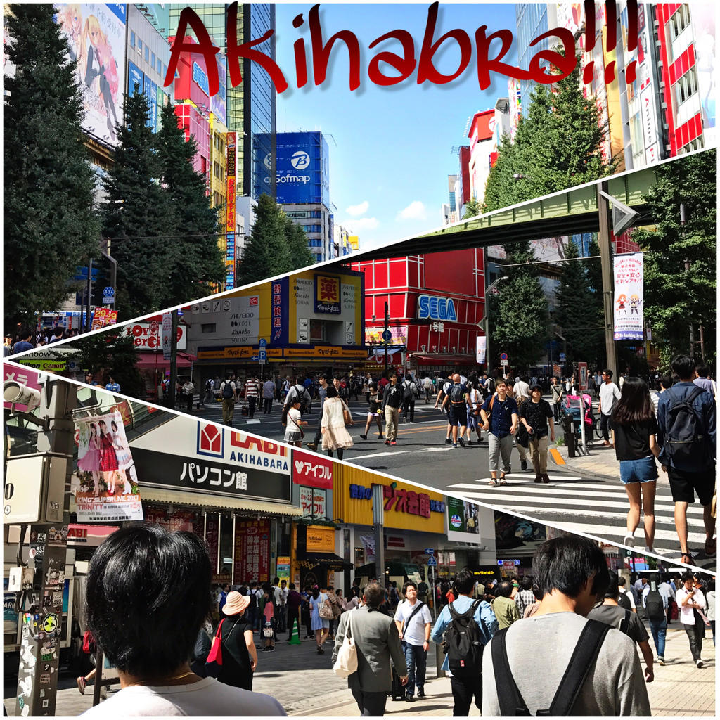My First Trip Akihabara Seattle The Erosion of the Specialty Hub