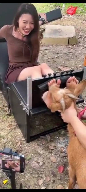 Goat tickling Asian girl feet 2