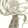 +-Son Gohan-+