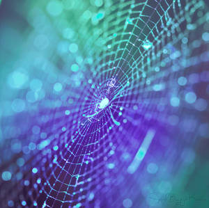 Explosion by Sarah-BK Explosion by Sarah-BK