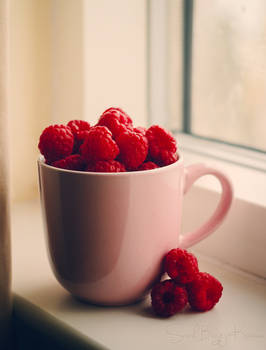 Raspberry Mug