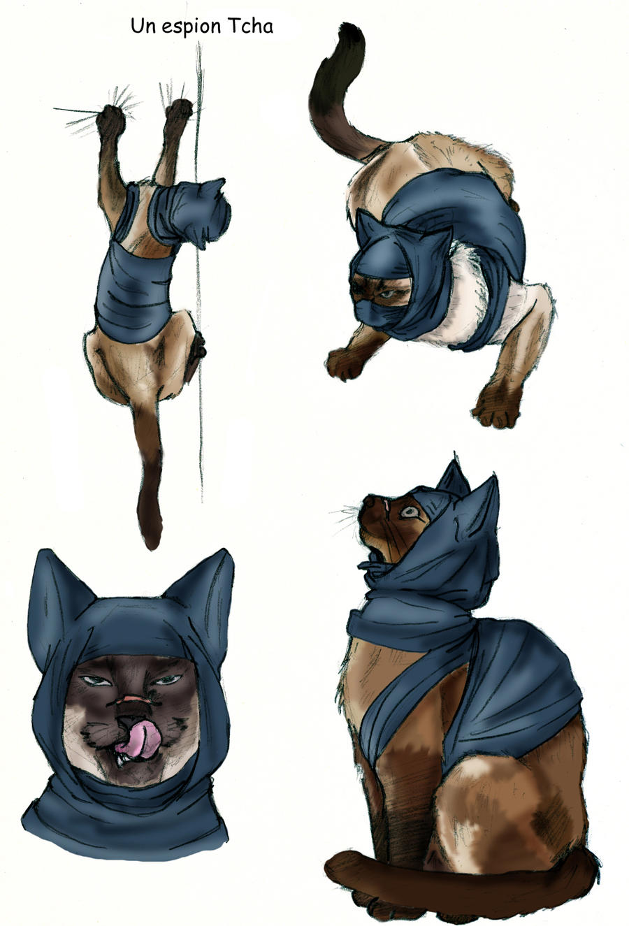 Le Chat Ninja By Jeecexd On Deviantart Le Chat Ninja By Jeecexd On Deviantart