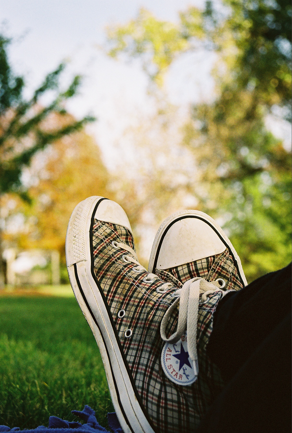 plaid shoes