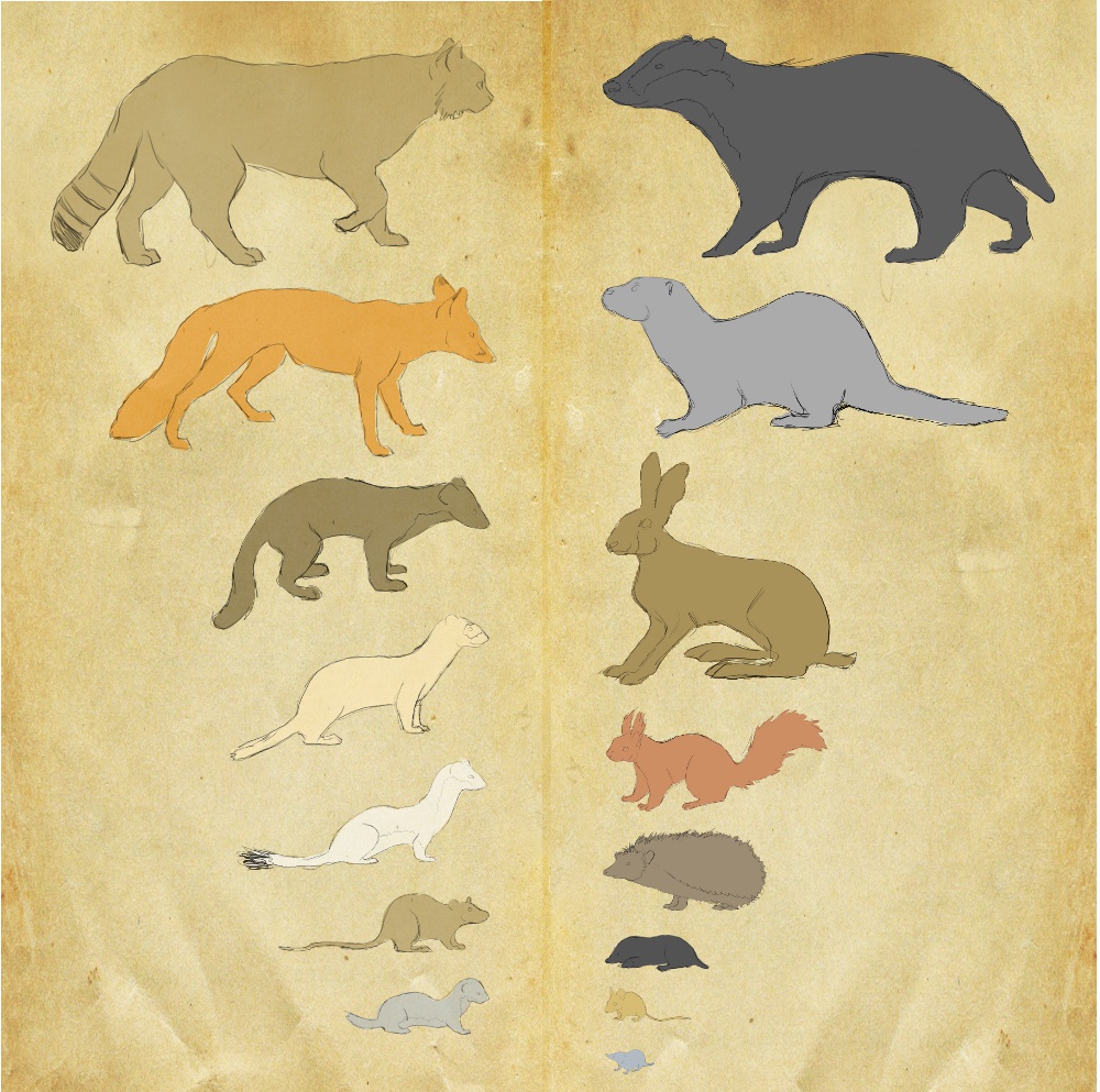 Redwall Races Redwall Creatures by Benalene on DeviantArt