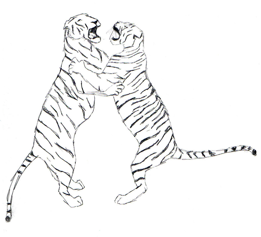 Fighting Tigers by Benalene on DeviantArt