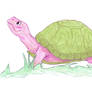 Cartoon Turtle