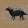 Black Lab reworked