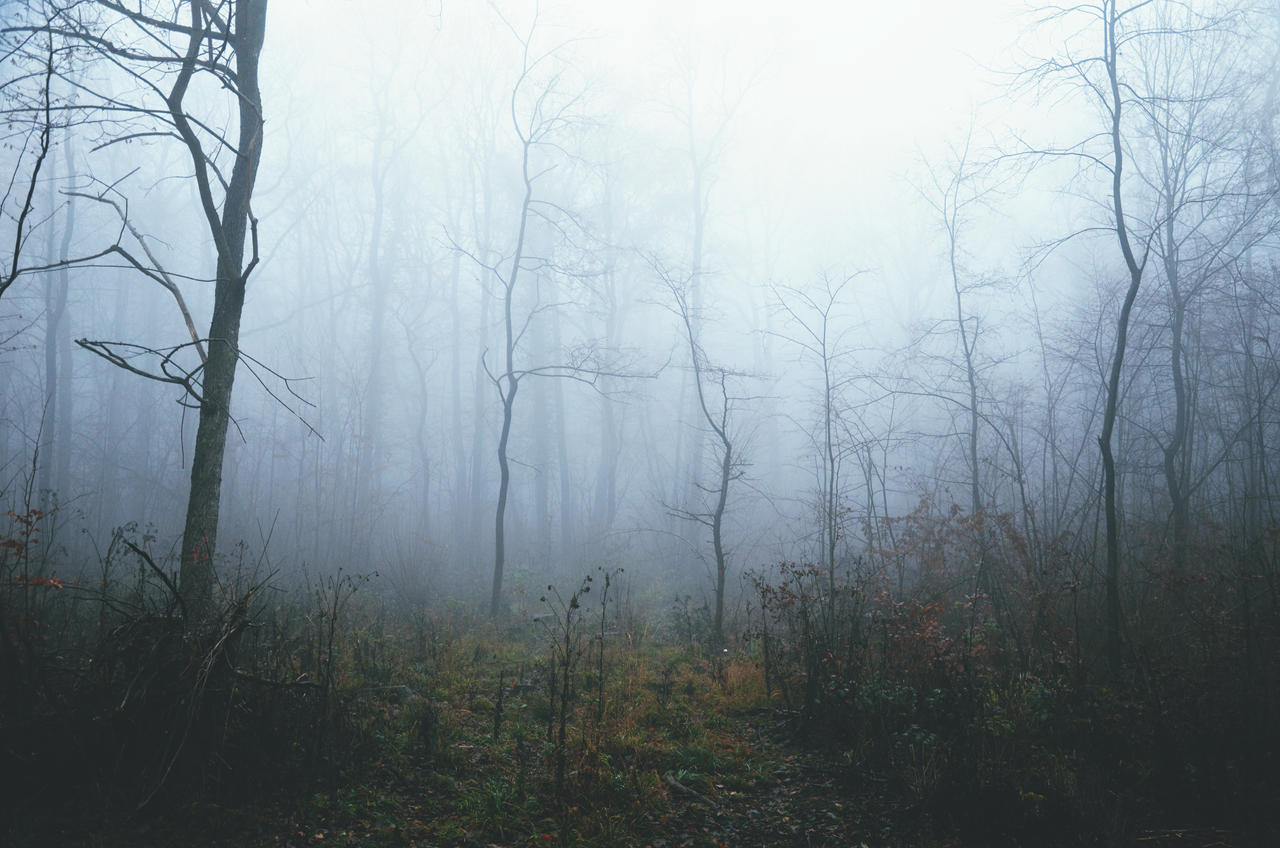 slumber by only1second on DeviantArt