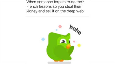 Duolingo meme