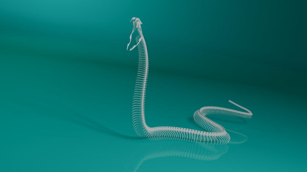 Snake Skeleton Rig 3D model snake skeleton rigged 2 by steplont on DeviantArt