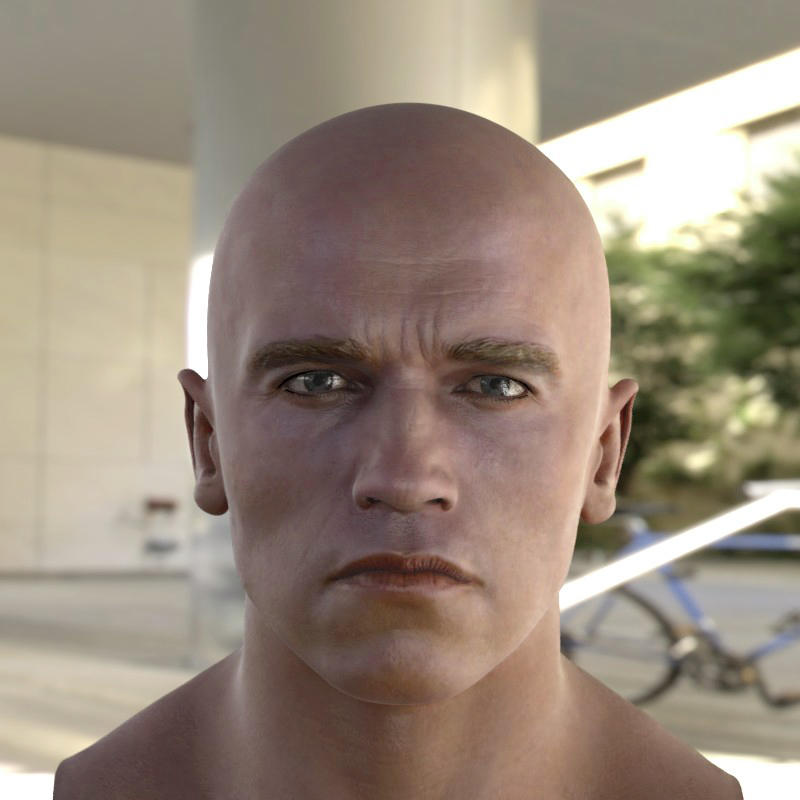 3d model Arnold Schwarzenegger head 42 by steplont on DeviantArt 3d model Arnold Schwarzenegger head 42 by steplont on DeviantArt