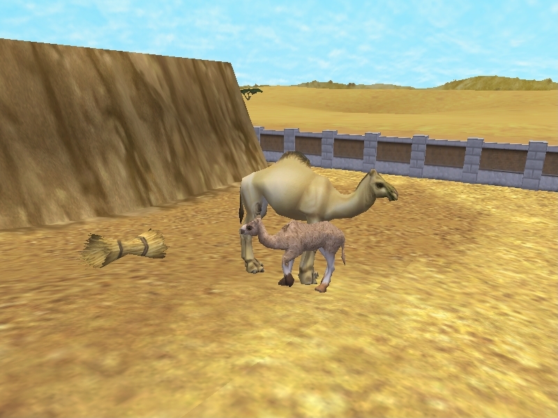 Zoo Tycoon Camel Hybrid?