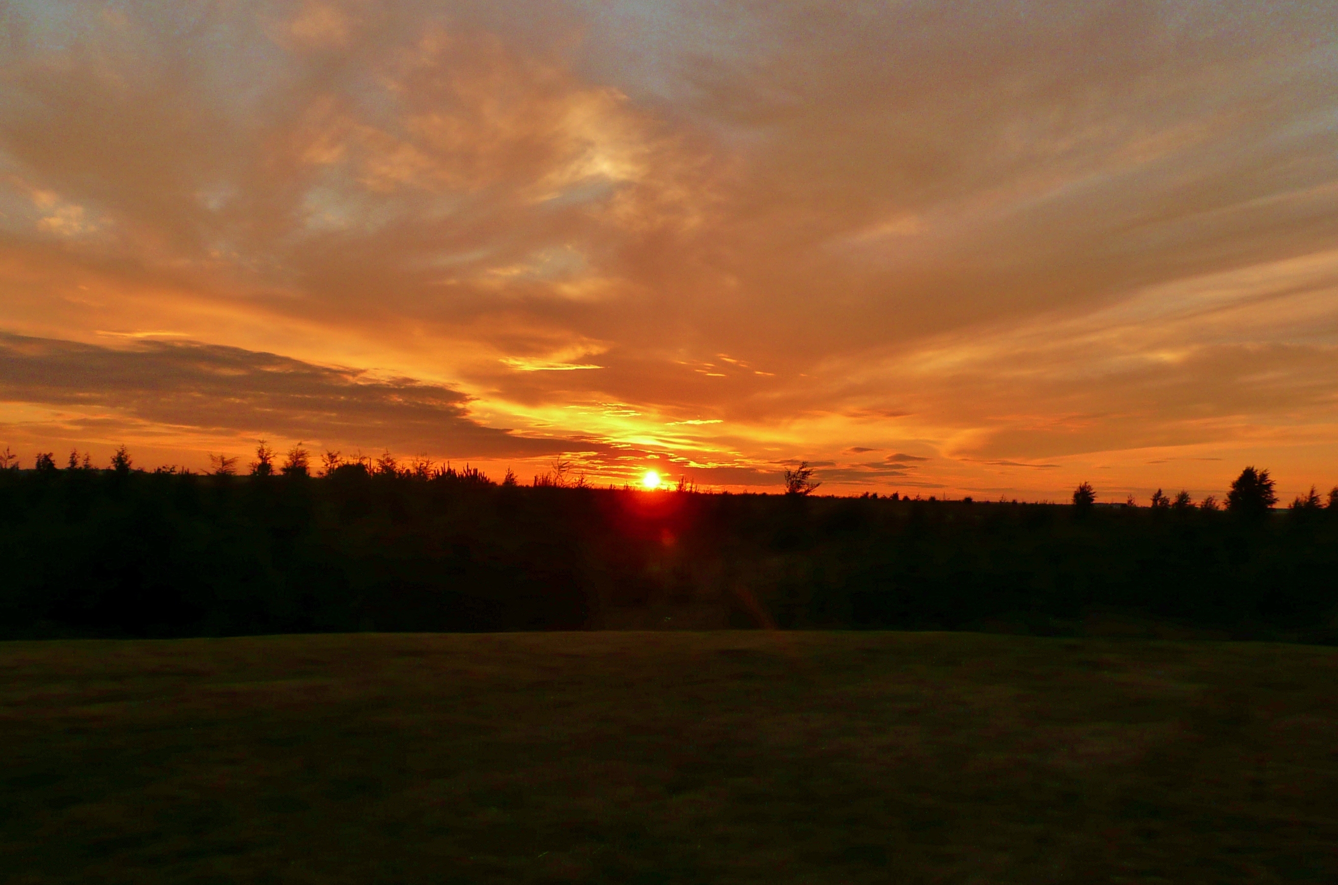 Sunset over a Field