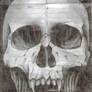 Devil's skull