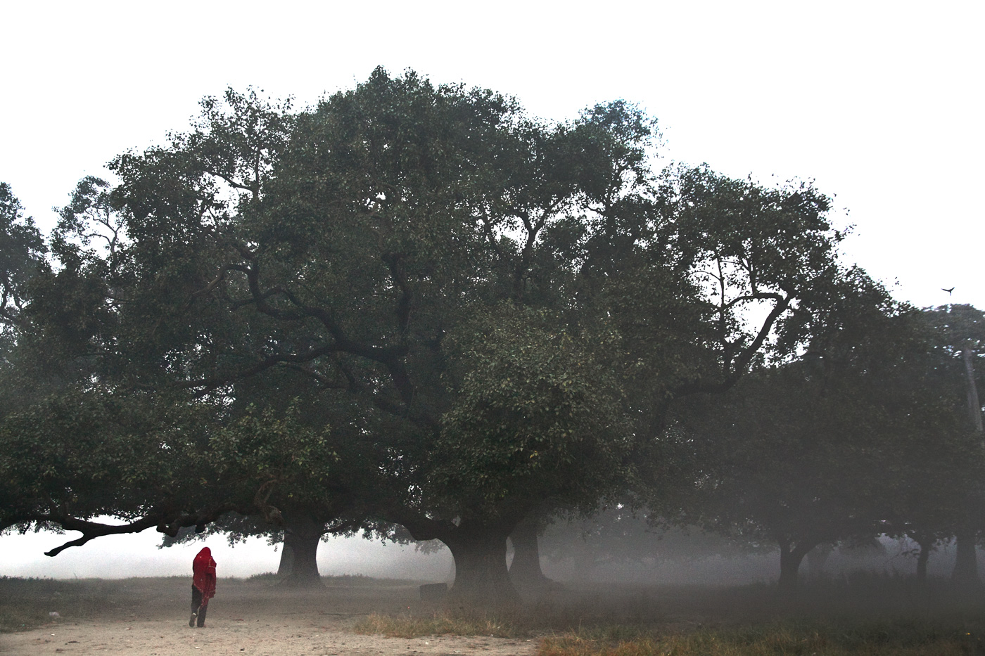 The Maidan 3, Kolkata