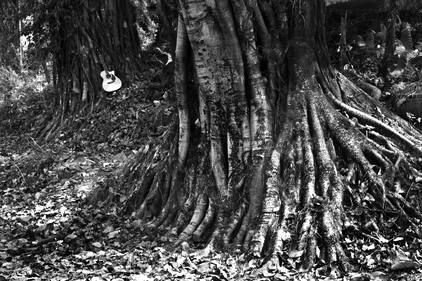 Wood ................... by bingbing51