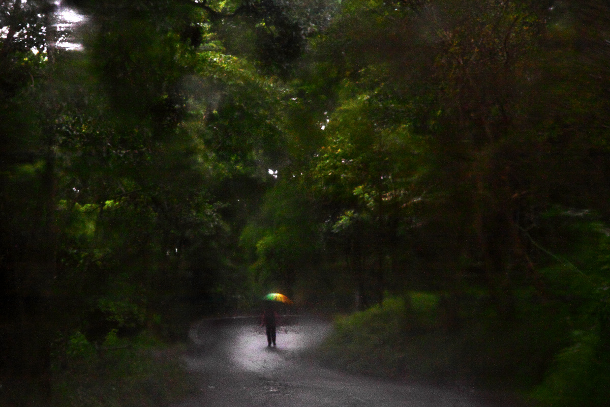 Rain in the Mountains by bingbing51
