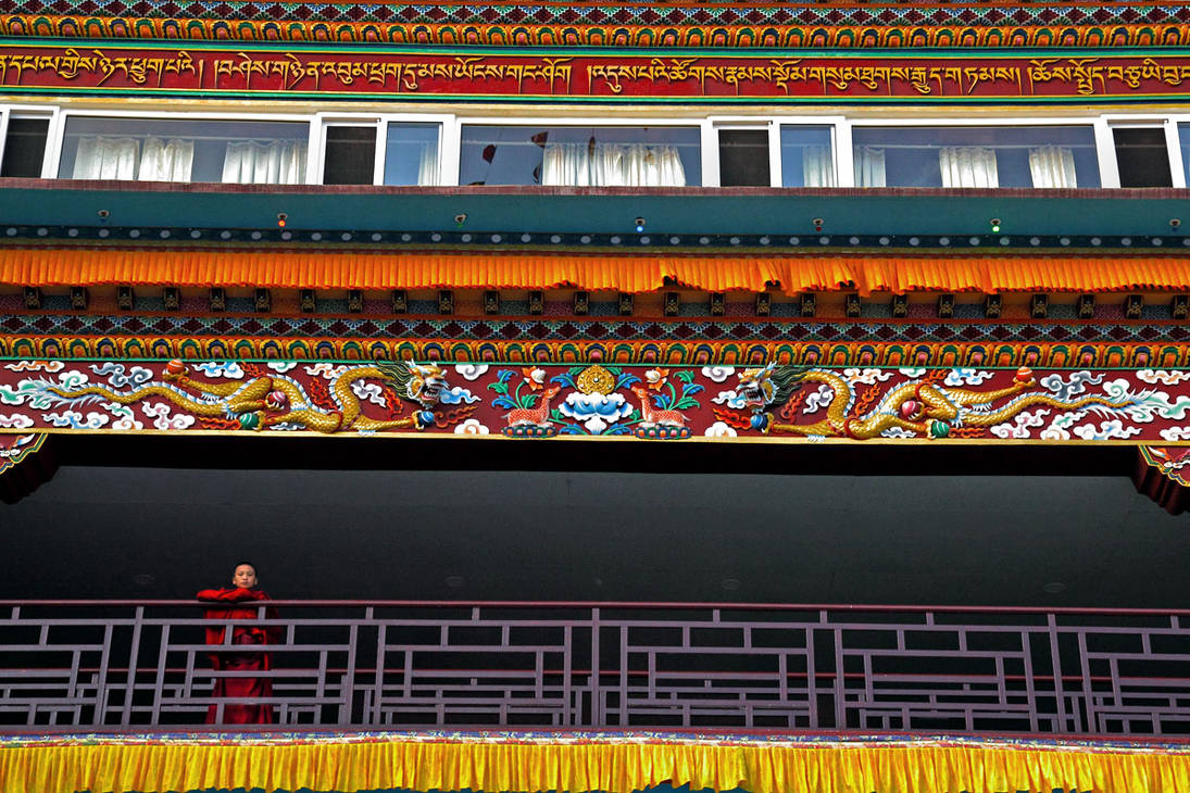 Young monk at Sakya Monastery by bingbing51