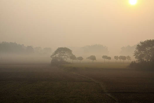 Morning mist