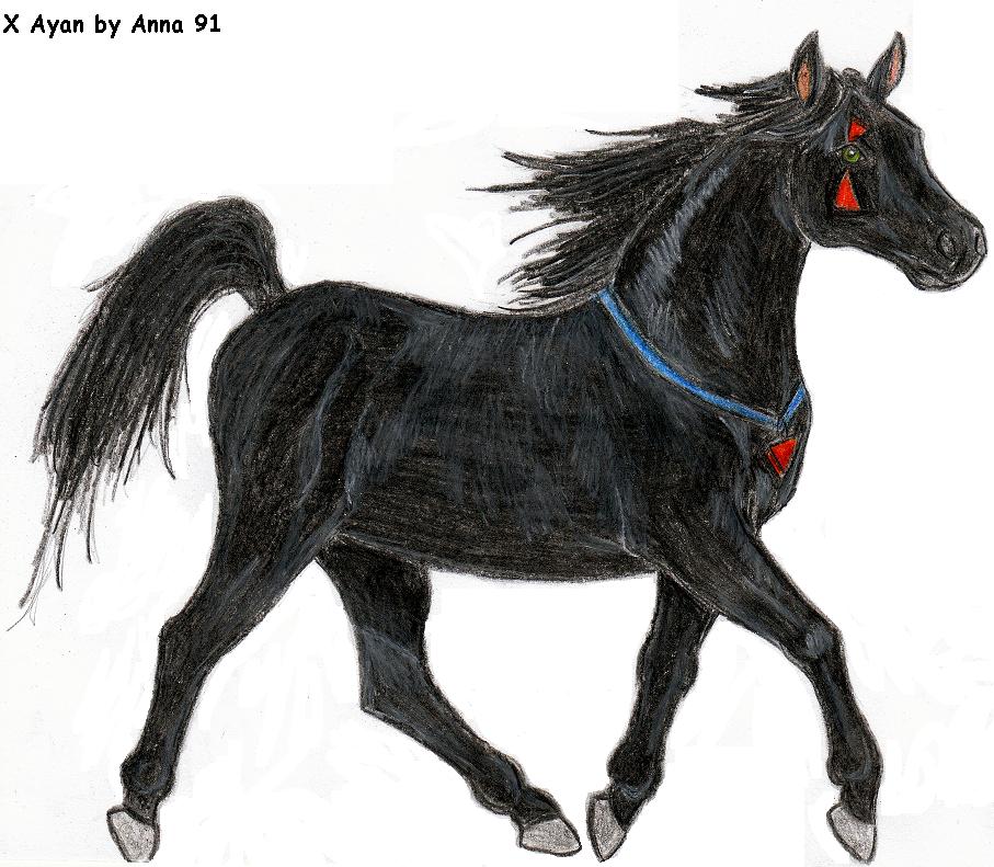 Ayan-horse version