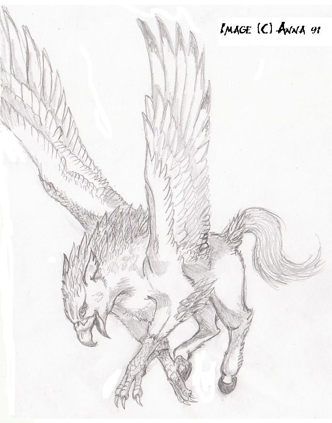 Hippogriff