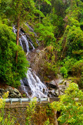 Waterfall on Dorrigo Mountain, NSW, Australia