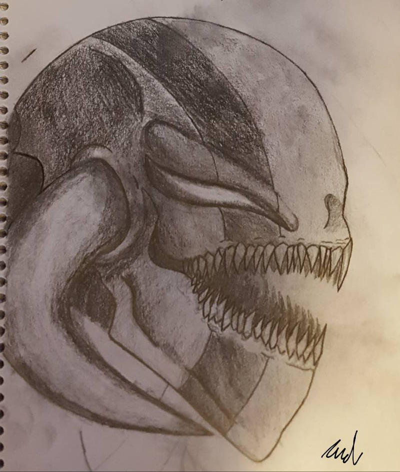 beast skull by alwardrobe on DeviantArt