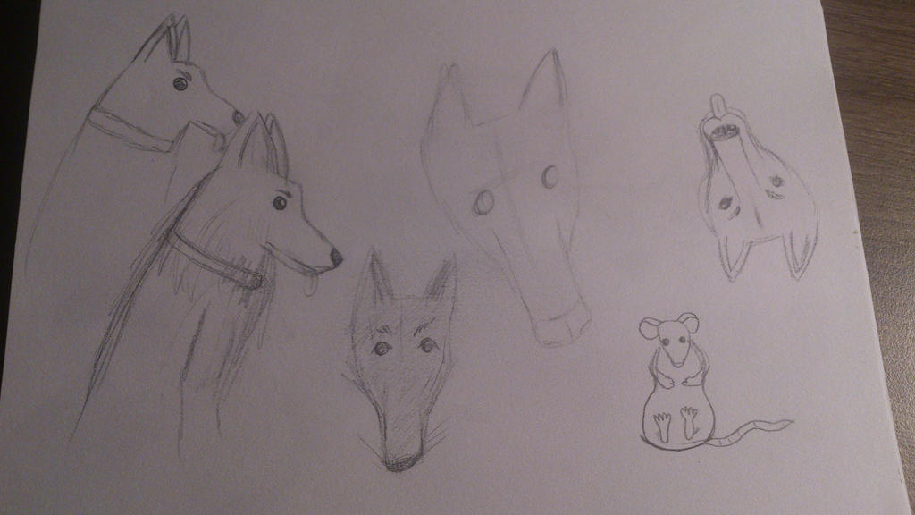 Doodle #18 - More Dog sketches