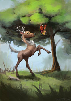 The deer and the butterfly
