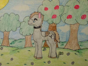 Aiden:: MLP OC:: Before