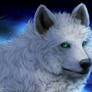~ white wolf ~