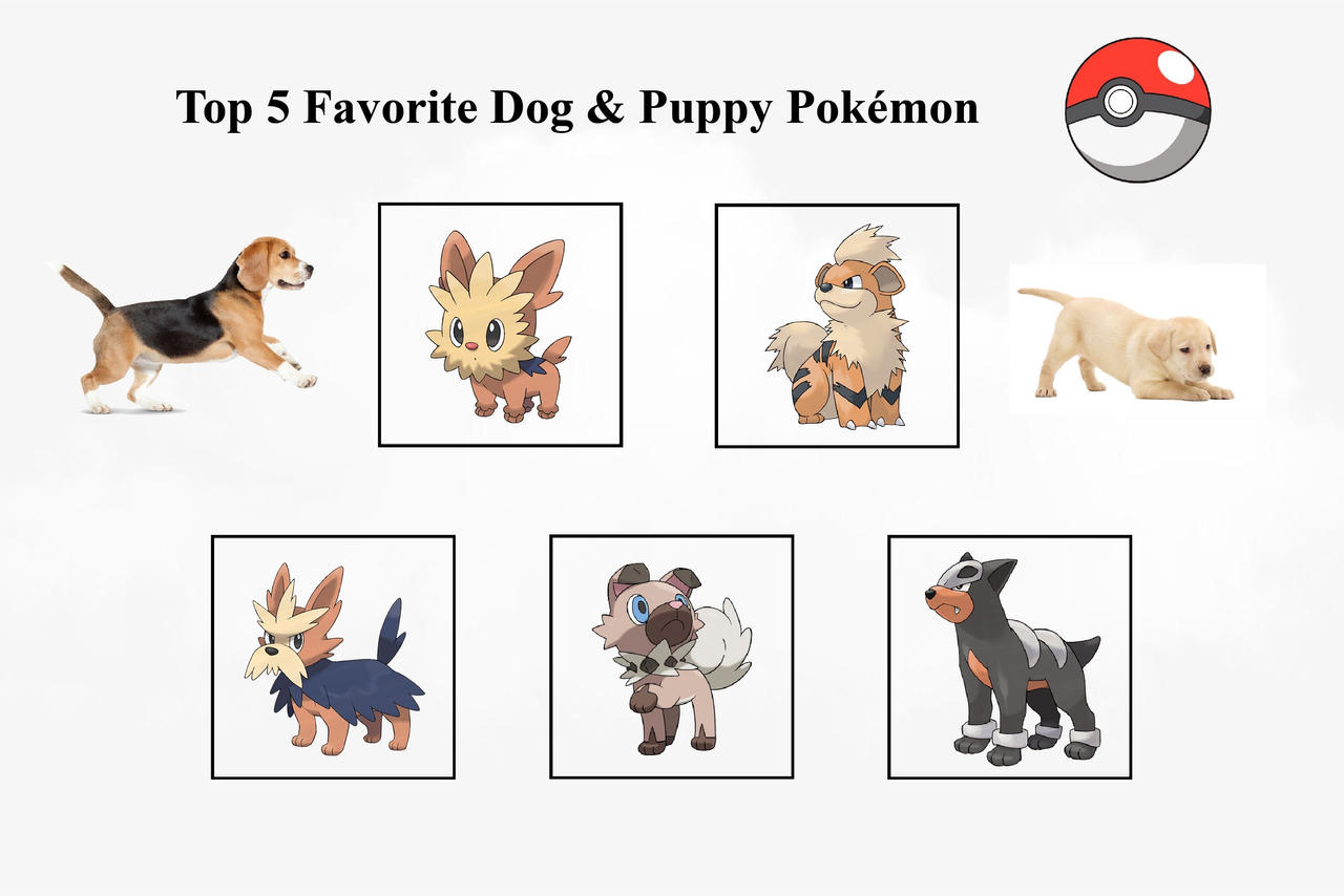 My Top 5 Favorite Dog and Puppy Pokemon by Valar77 on DeviantArt