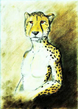 Gepard A.D.2007