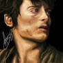 Frodo Baggins