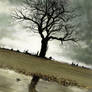 Speed painting :Forgotten tree