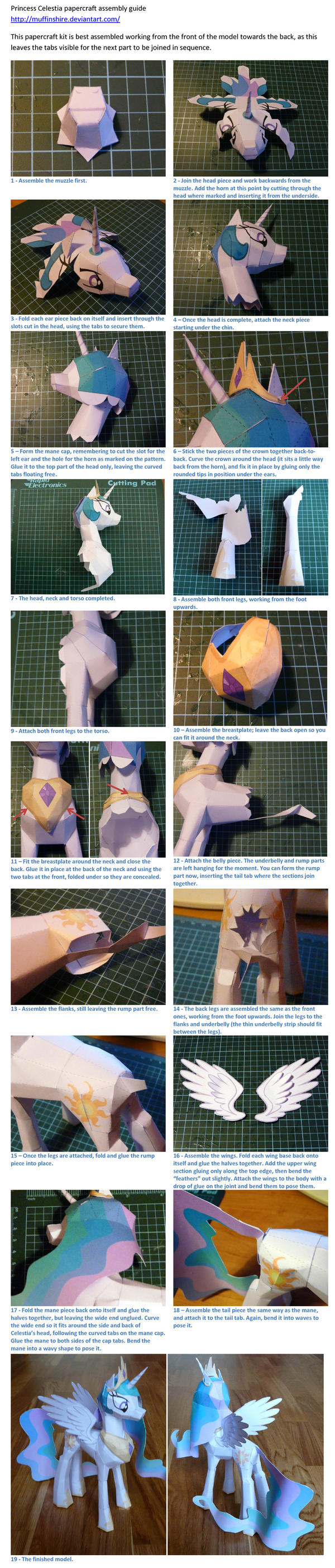 Princess Celestia instructions