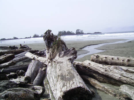 Chesterman Beach 1