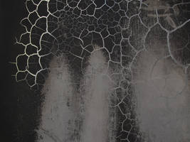 Trapped in the Web of Time