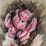 Tenderness in the claws