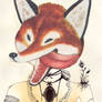 the red fox.