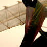 Construction of a living thing