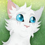 Snowpaw PFP (for @Antho3749)