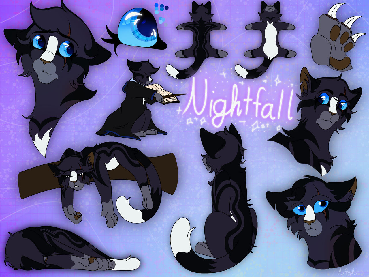 Nightfall (Bonus References)