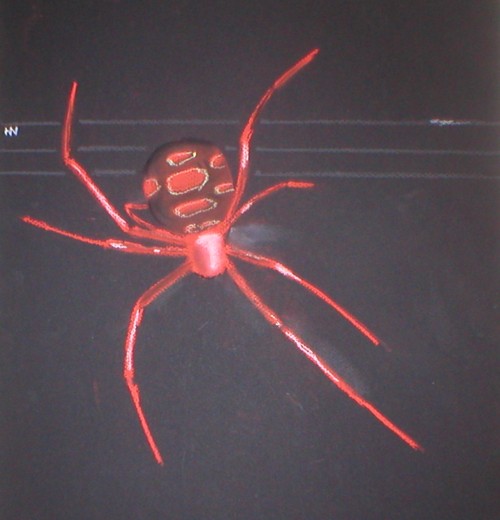 Red widow by skyshroudfalcon