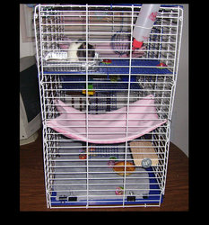 Side view of new cage