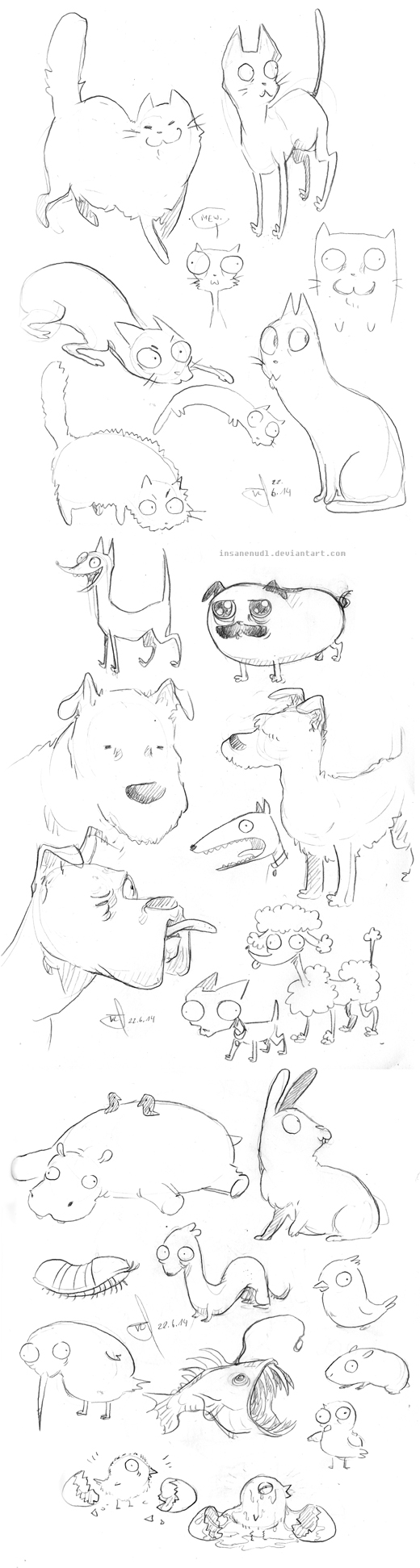 Animal sketchdump