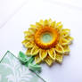 Delicate sunflower